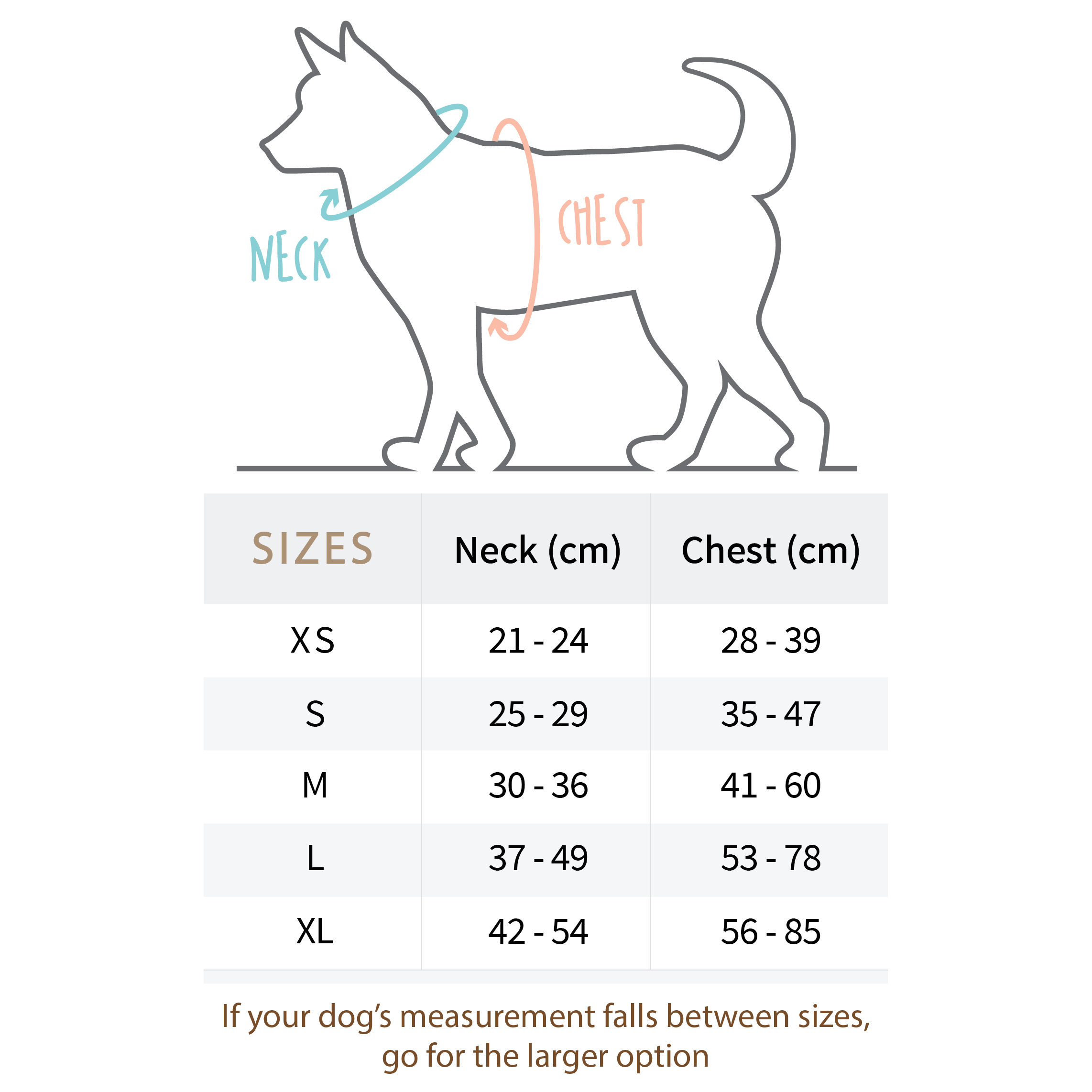 Pipco Pets – Arnês – Cão por atacado – Conjunto de 4 Peças Walkies: Pack de Snacks7