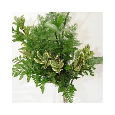 Florasource - Wholesale Fresh Cut Flowers - Greenery "drop in" Bouquets MEDIUM 5 / 10 / 15 / 20 bunches2