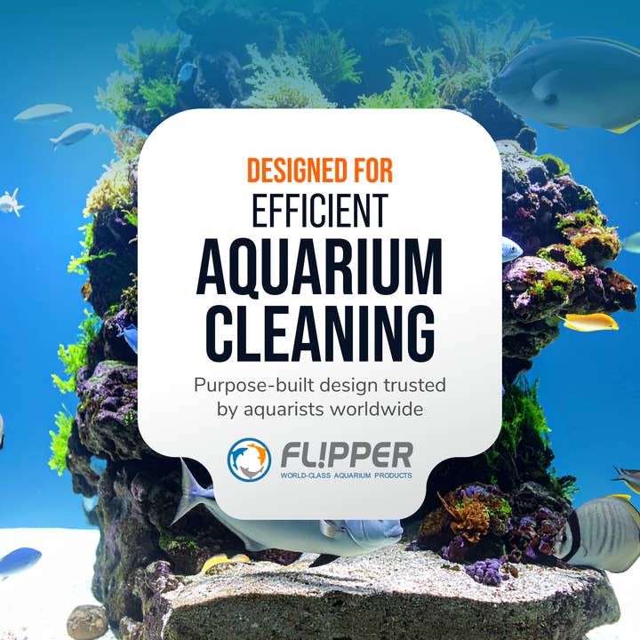 Flipper Aquarium Products - Wholesale Garden Tool - Flipper Platinum NANO Credit Card Algae Scraper7
