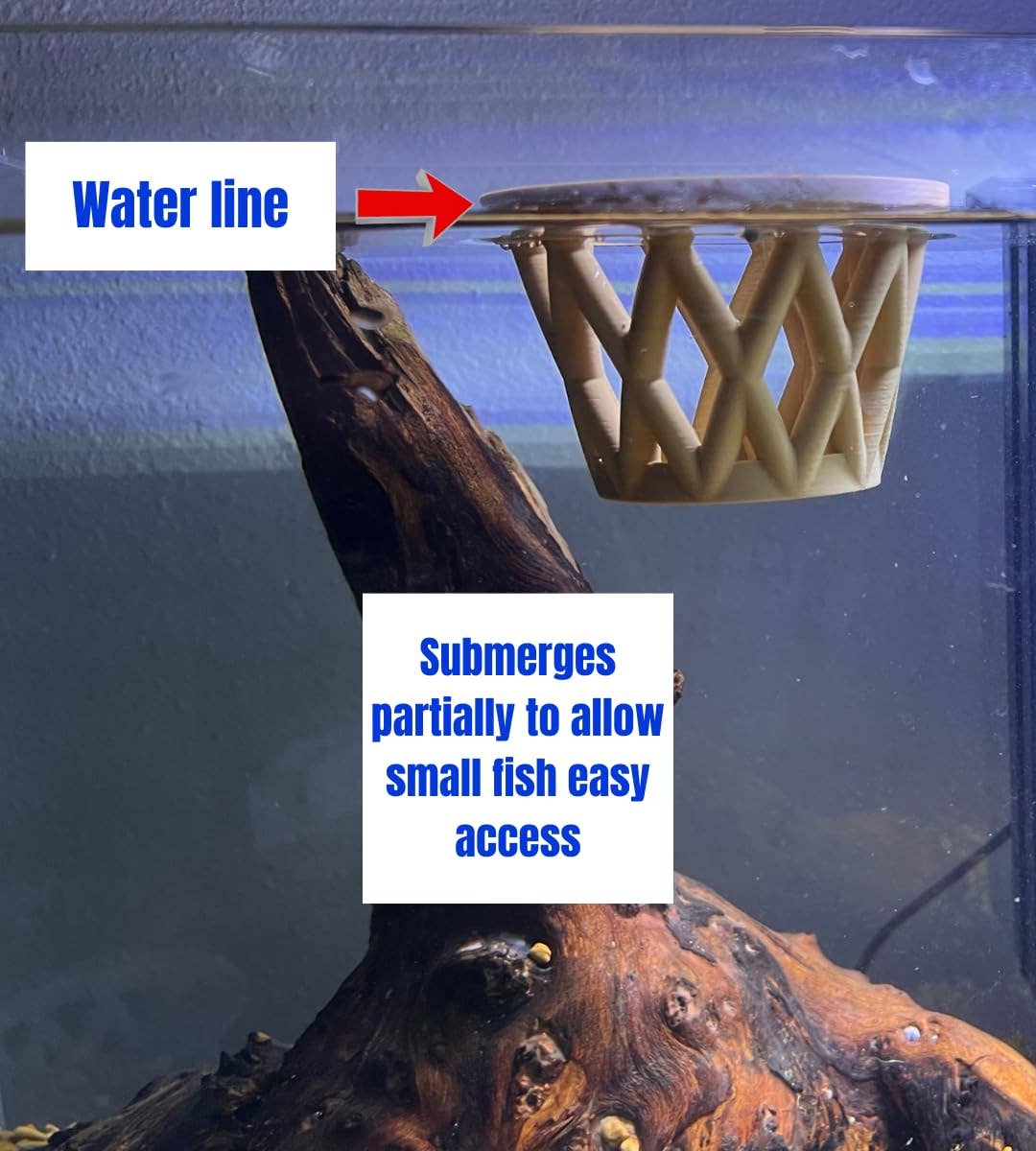 Chatelet - Wholesale Pet Bowl - Cat/Dog - Chatelet Aquarium Fish Feeding Cage | Small Fish Feed Cage | Floats at Surface & Keeps Larger Fish Out | Made in USA13