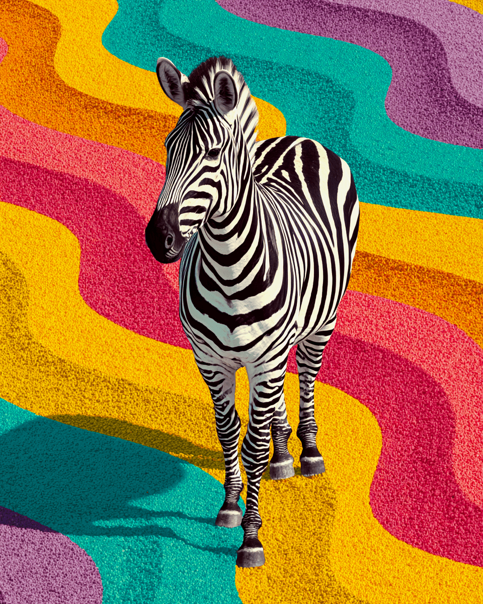 Mowbi - Wholesale Art Print - Pop-Art Zebra - Zoo Animals - Biophilic Wildlife Art Print - 8"x10" Artwork for 11"x14" Frame0