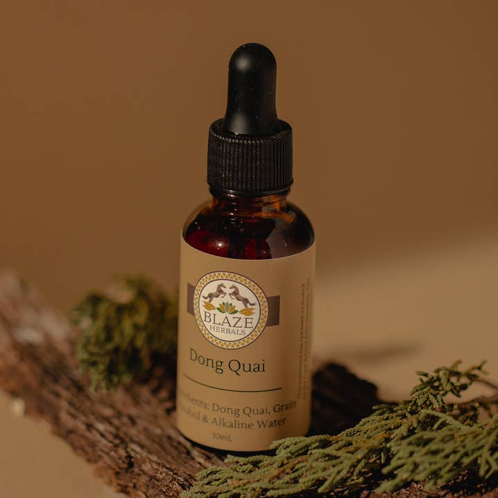 Dong Quai for wholesale by Blaze Herbals