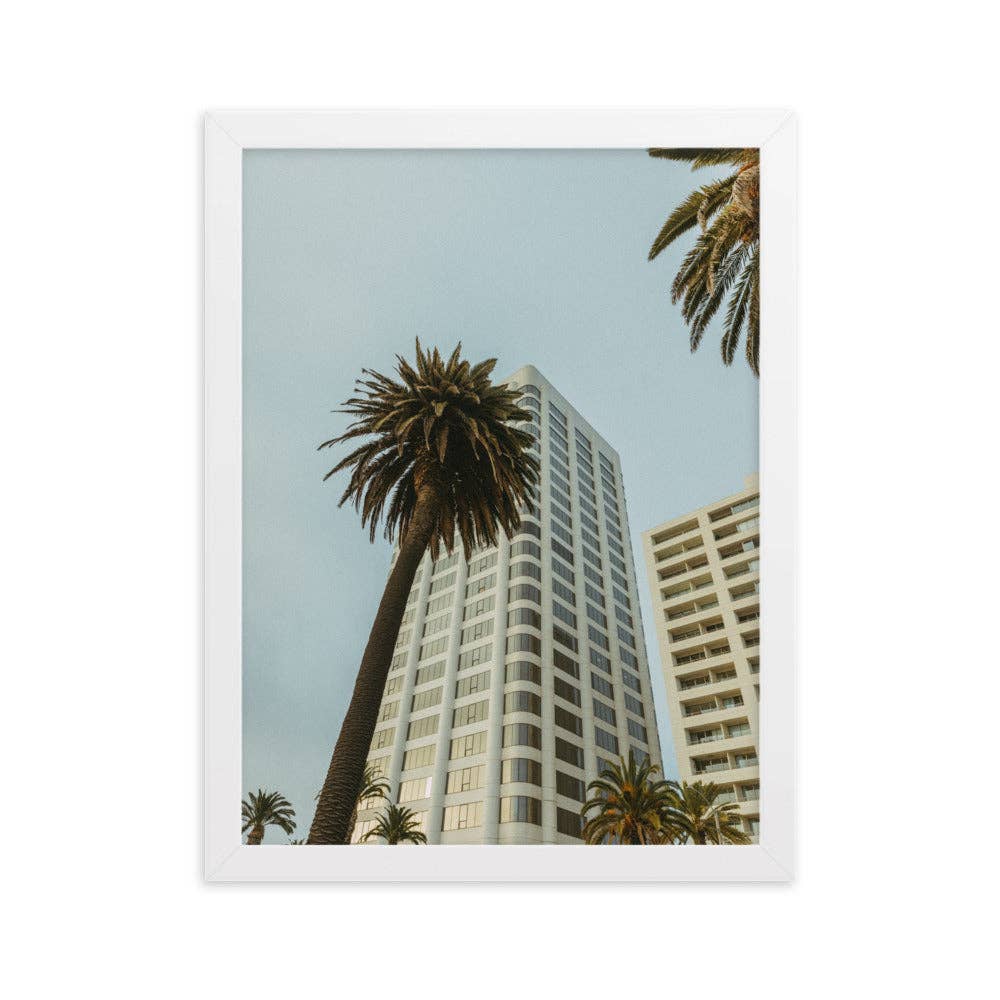 Studio Teddy - Wholesale Poster - Jeffery Matthews - Palms - Framed matte paper poster1