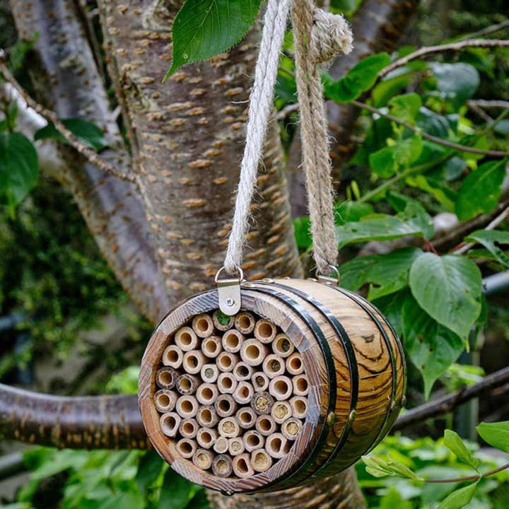 Bee Barrel for wholesale by Green Feathers