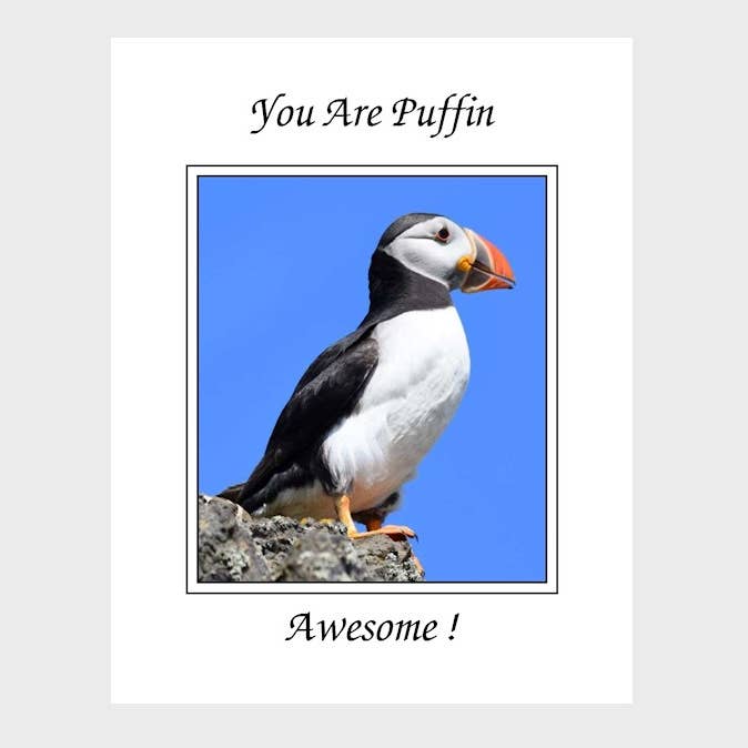 Puffin note card - 'You Are Puffin Awesome' for wholesale by David B Pix