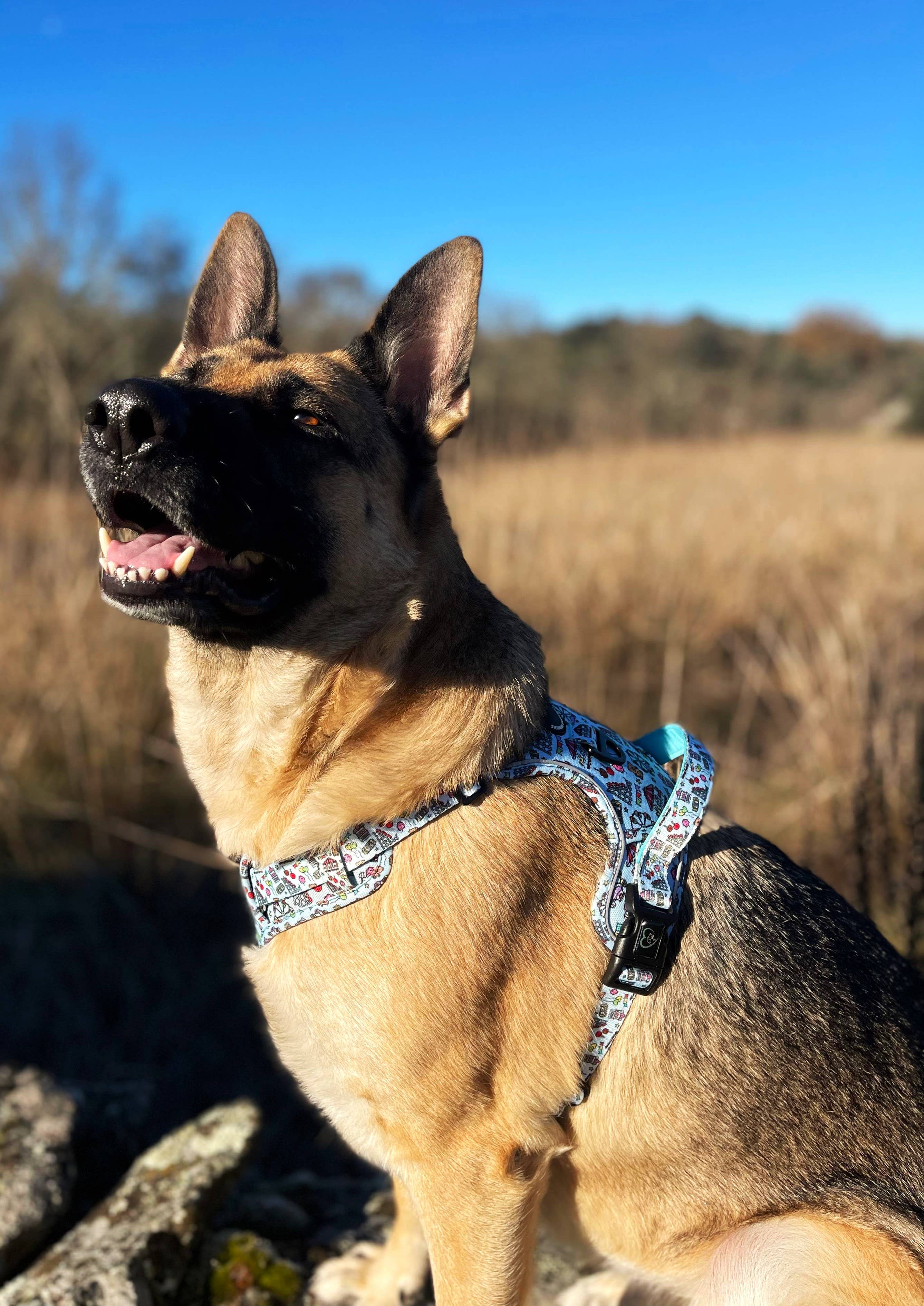 HUELLITAS INFINITAS - Vente Harnais – chien - Harnais Anti-Coups XTREME 4x4 FERIA7