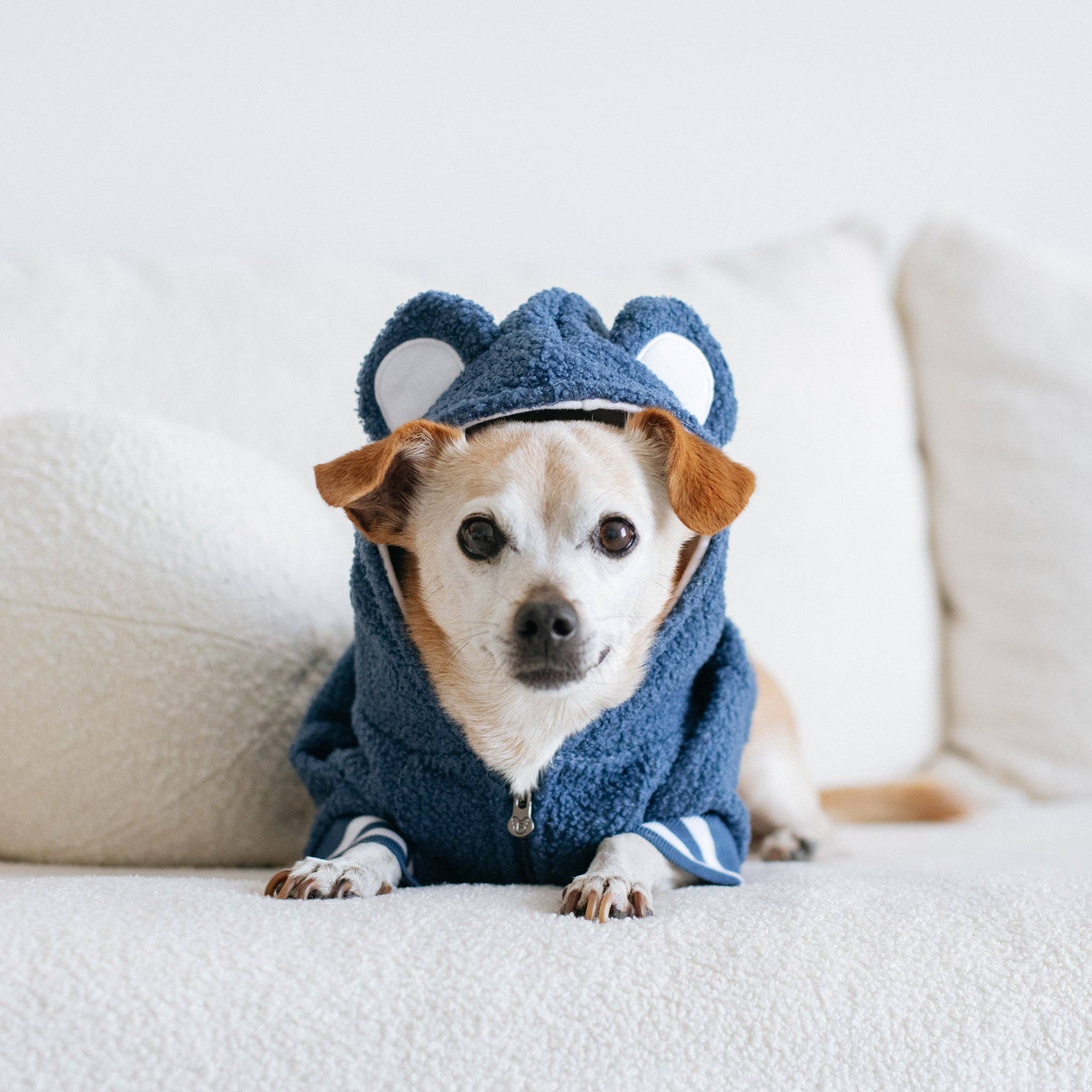 Frenchie - Wholesale Pet Hoodie - Dog - Frenchie Dog Hoodie - Blue Teddy9