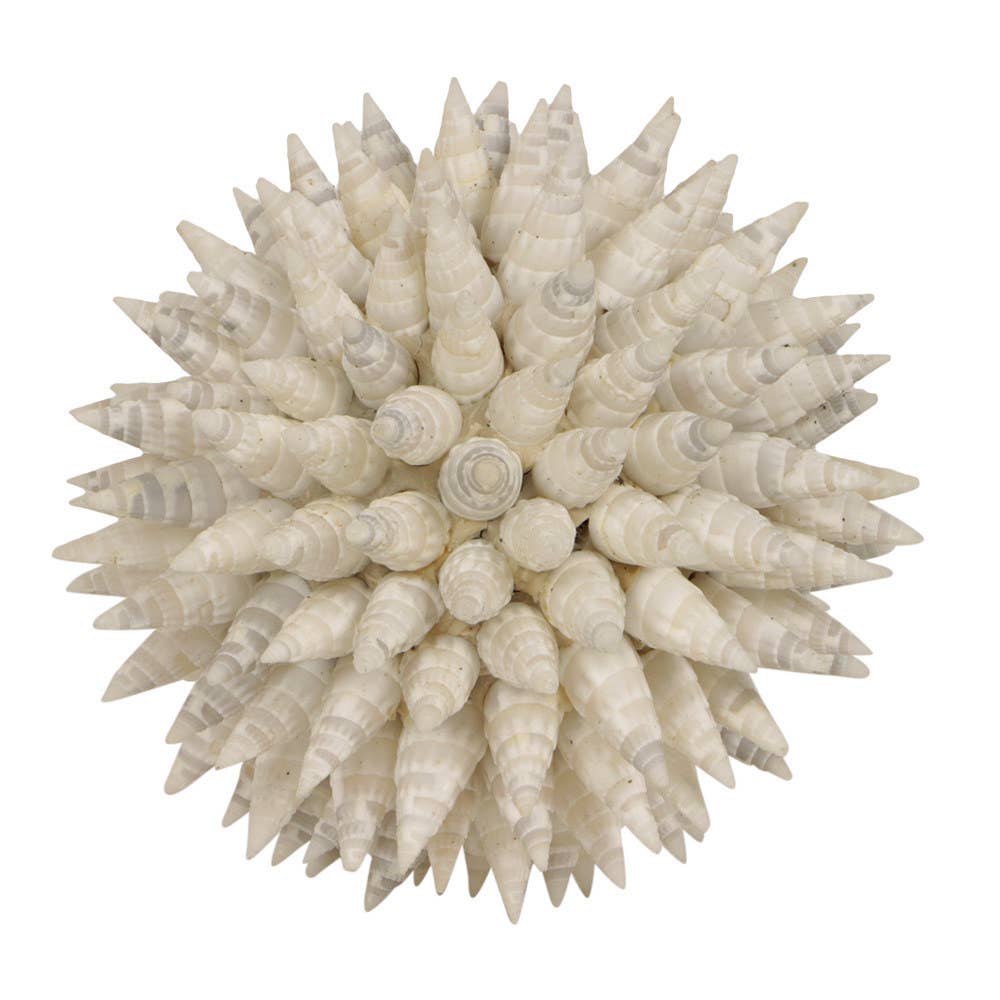 EARTHWARE - Wholesale Decorative Tabletop Object - Deco ball shell Timor M0