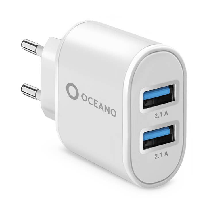 Chargeur de batterie écologique de 10 watts pour la vente par SBS