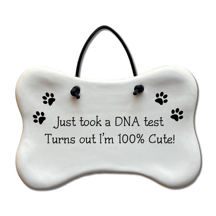 Dog-Bone Wall Plaque: " Just took a DNA test...I’m cute..." for wholesale by August Ceramics
