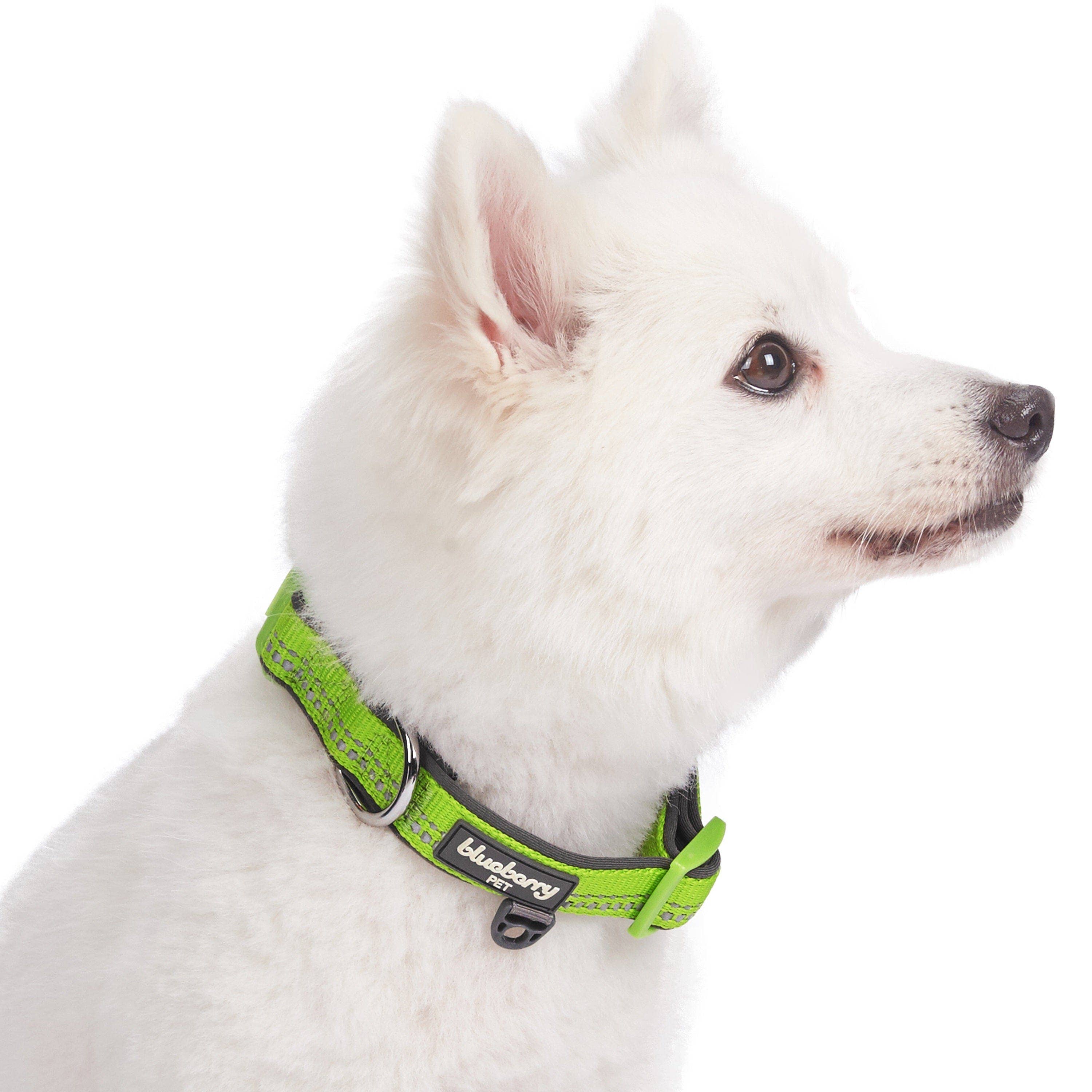 Blueberry Pet - Vente Collier – chien - Collier de sécurité rembourré en néoprène souple réfléchissant 3M1