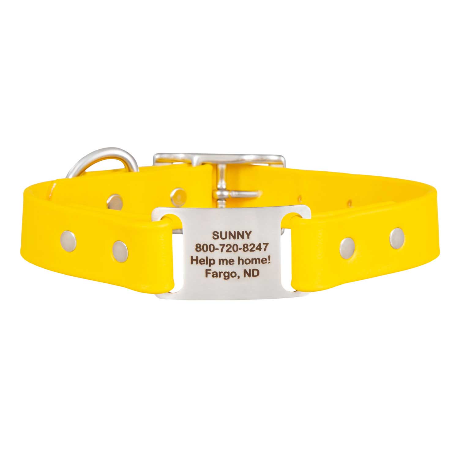 dogIDs - Wholesale Pet Collar - Dog - Personalized Waterproof ScruffTag Collar13