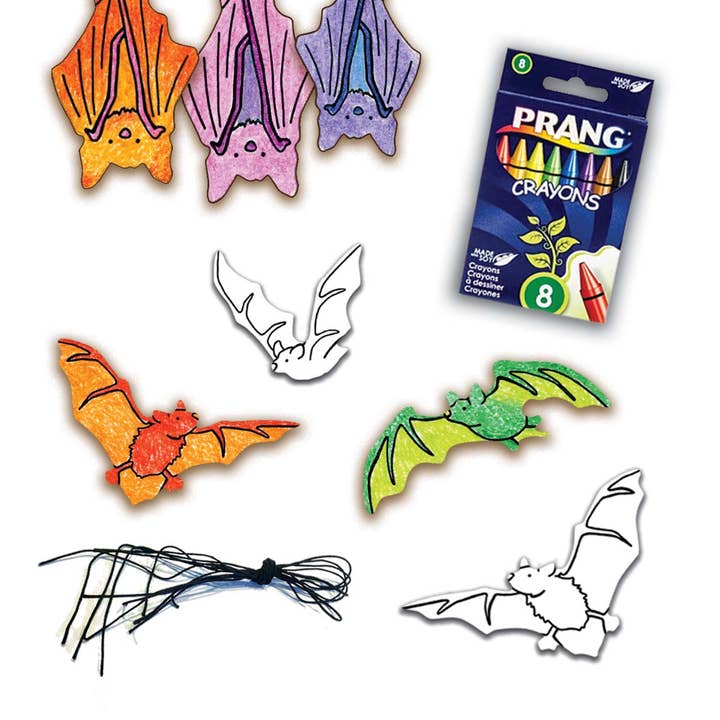 Jr. RangerLand - Wholesale DIY Craft Kit - Kids - Jr. RangerLand North American Bat Mobile Craft Kit3