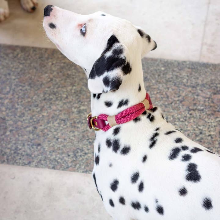 Atelier Markiz – Engroshandel Halsbånd - Hund – Sangria Halskæde4