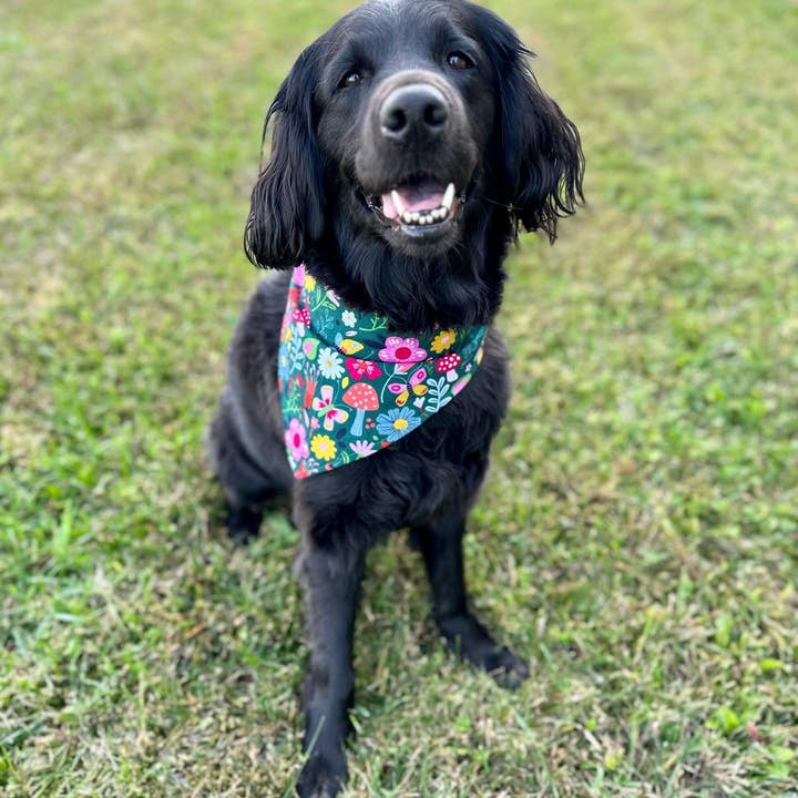 BibbyBubby - Wholesale Pet Bandana - Dog - Whimsy Dog Bandana (Snap-on, adjustable, 3 sizes available)2