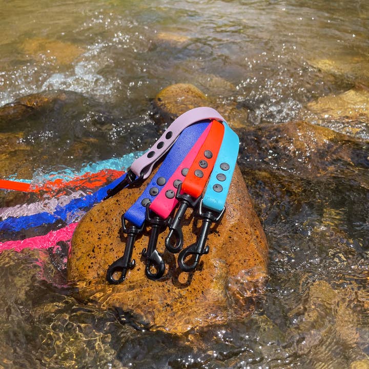 Laisse en Biothane imperméable pour la vente par Hollywoof Styles