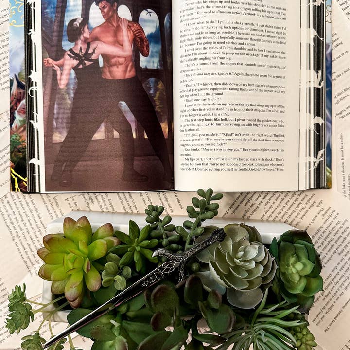 Iridescent Fairytale - Wholesale Display Book - Xaden and Violet Sparring Page Overlay - Officially Licensed The Empyrean Merchandise