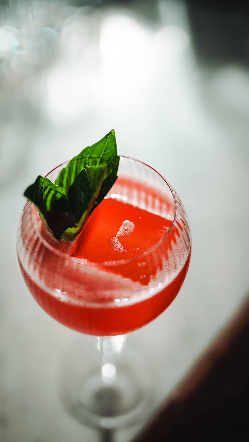 Hospitality Glass - Wholesale Cocktail/Liquor Glass - Hawthorne 20 oz. Gin and Tonic2