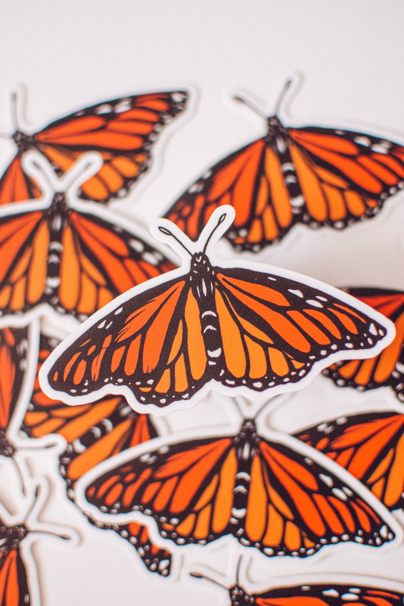 Brush + Bird Paper Co. – Engroshandel Klistermærke – Monark Sommerfugl Vinyl Diecut Klistermærke | Bestøver Gave1