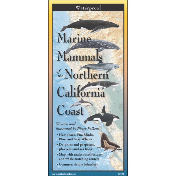 Marine Mammals of Northern & Central California for wholesale by Earth Sky + Water