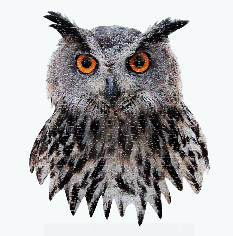 Madd Capp Games & Puzzles - Wholesale Puzzle - Adult - I AM Owl 550 piece jigsaw puzzle - gift5