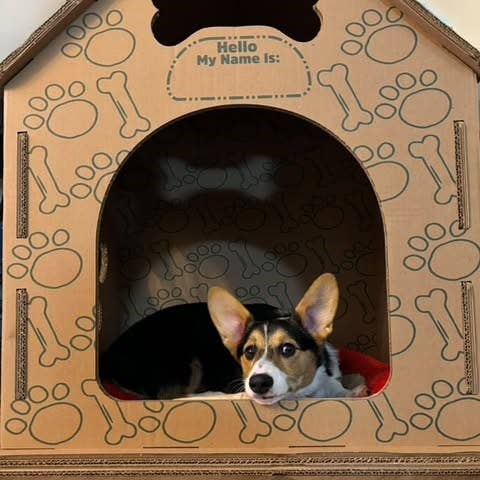 Designer Pet Products, LLC - Wholesale Pet carrier – Cat/dog - Dog-Cat House , Durable Cardboard Design11