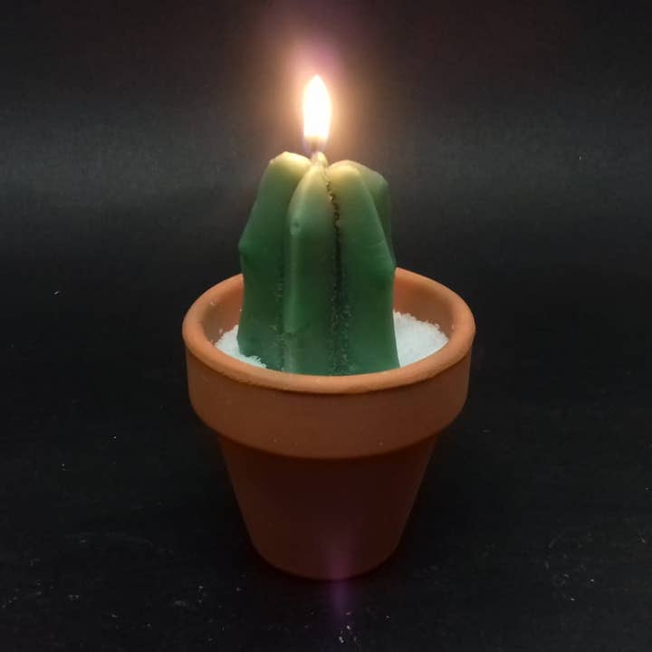 PLATT BARCELONA 1927 - Vendita all'ingrosso Candele regalo - Candela profumata Cactus in vaso