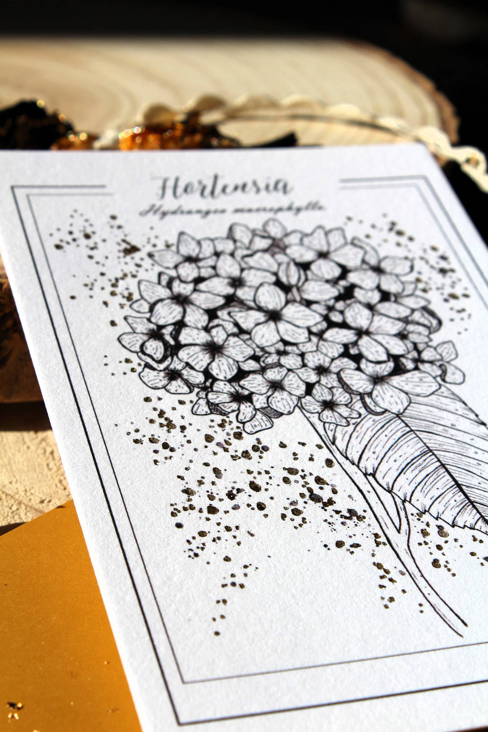 Au cœur des lunes - Vente Cartes postales - Reproduction botanique hortensia dorée et gravure5