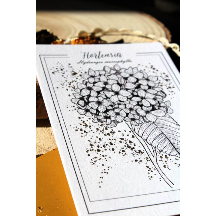 Au cœur des lunes - Vente Cartes postales - Reproduction botanique hortensia dorée et gravure5