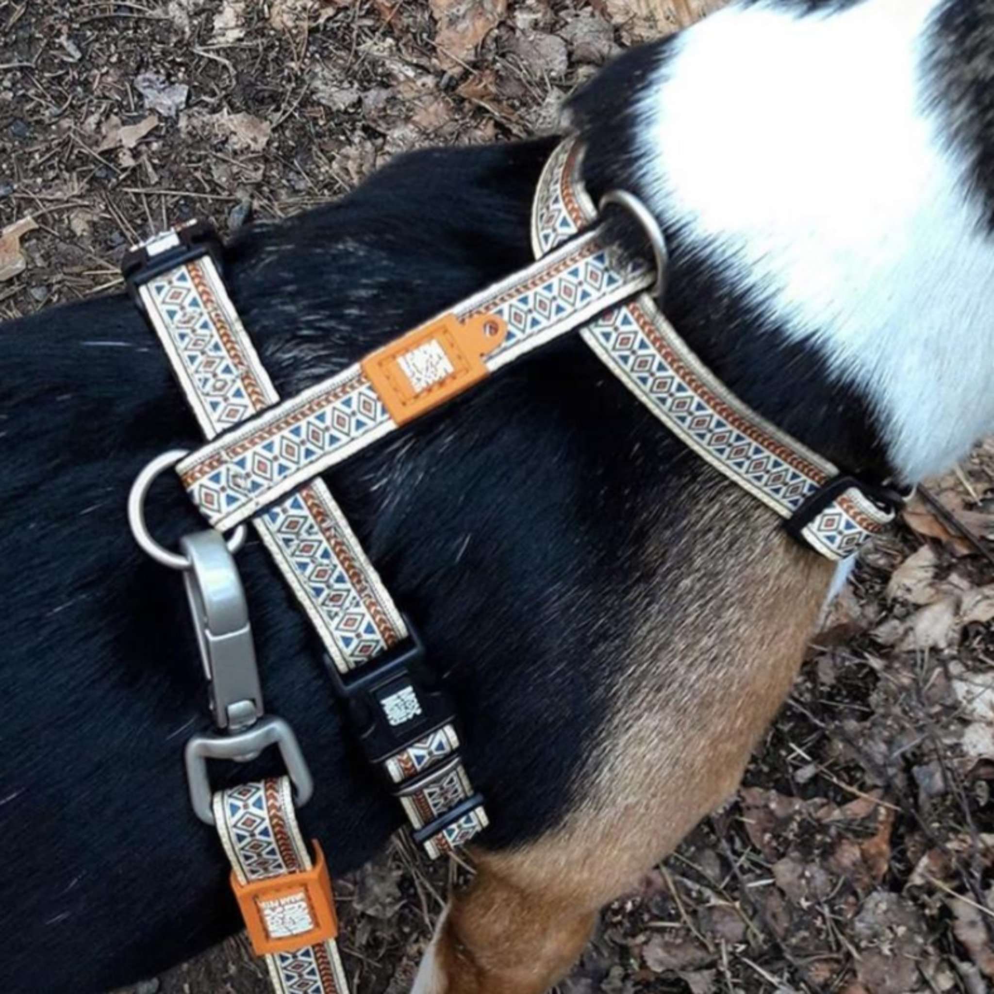 Max & Molly - Vente Harnais – chien - Harnais en H pour chien - Ethnic3