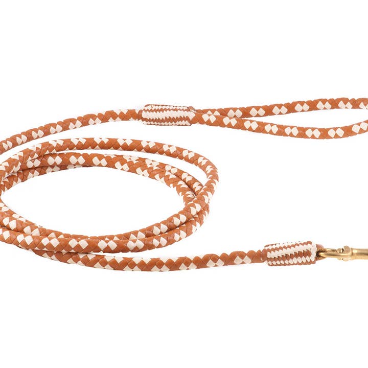 Alvalley - Wholesale Pet Leash - Dog - Braided Leather Snap Leads105