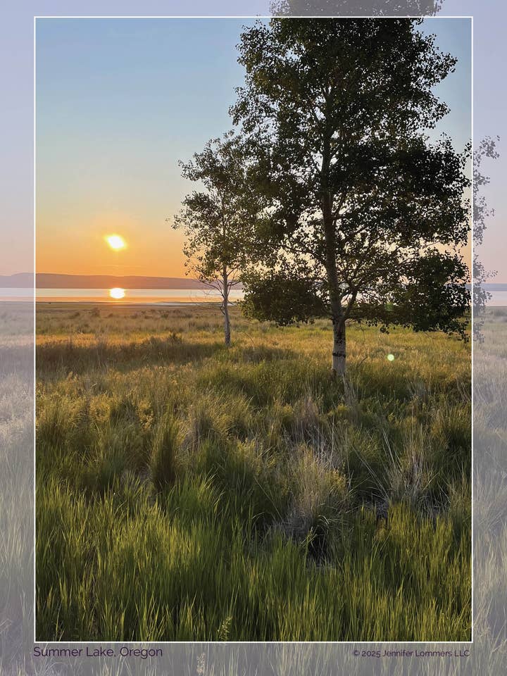 Zomermeer Zonsopgang - Inspirerende Bomen Ansichtkaart Serie (A7) voor wholesale door Jennifer Lommers