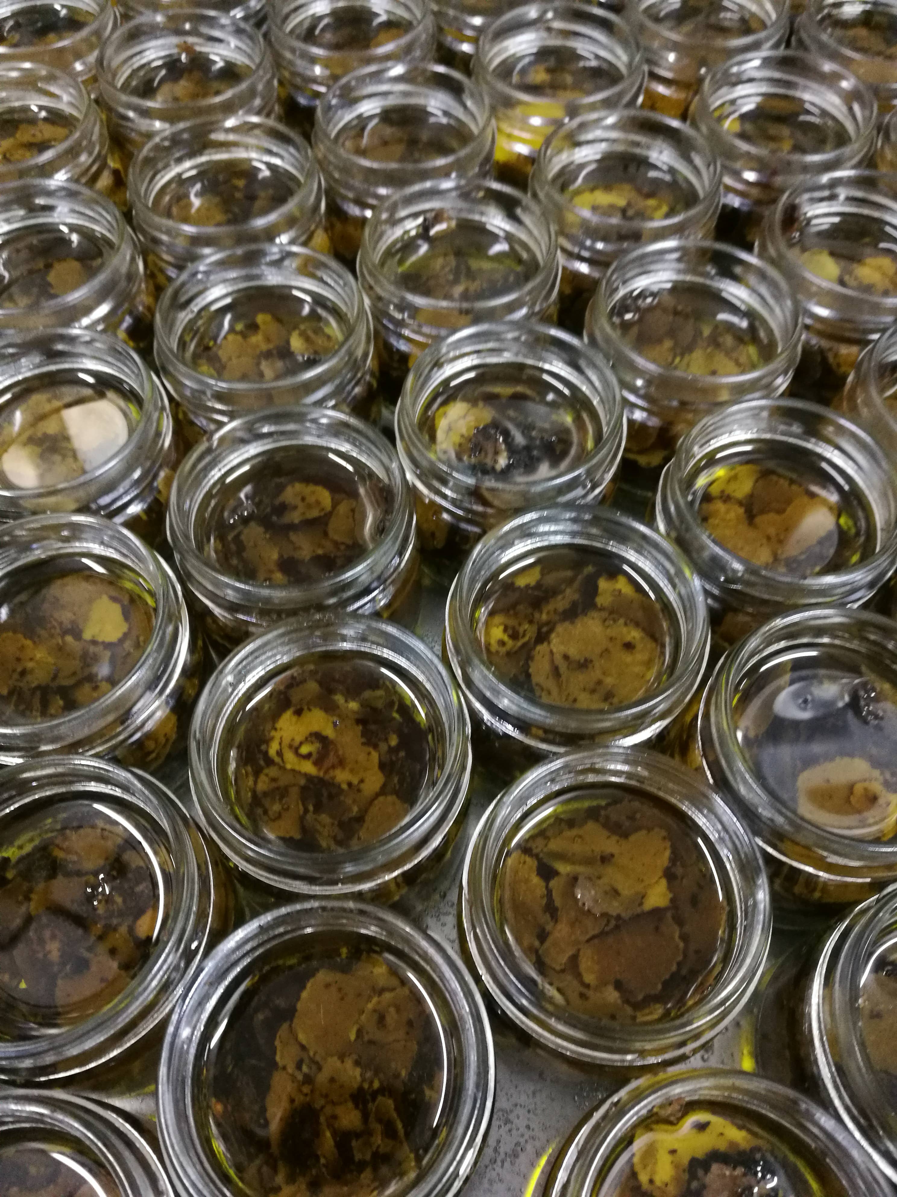 Boscovivo Tartufi ica srl - Venta al por mayor Salsas - Carpaccio de trufa negra de verano Tuber Aestivum Vitt. 50 g1