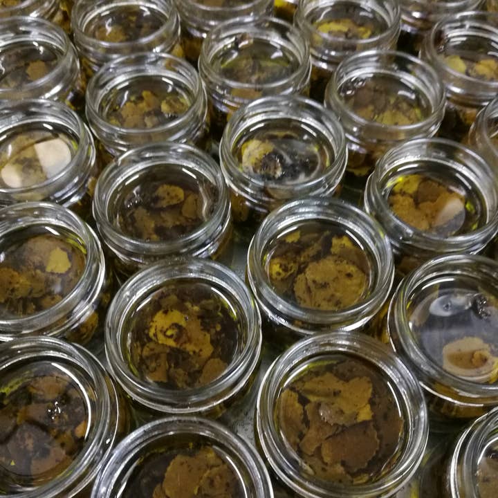 Boscovivo Tartufi ica srl - Venta al por mayor Salsas - Carpaccio de trufa negra de verano Tuber Aestivum Vitt. 50 g1