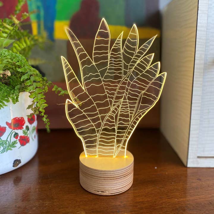 Pianta Bulbing-Snake per la vendita all'ingrosso da parte di Studio Cheha