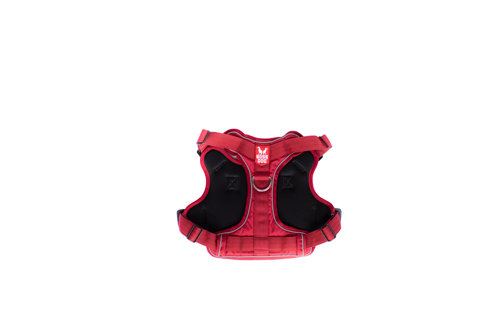 BOSS DOG BRAND, INC. - Wholesale Pet Harness - Dog - Boss Dog Harness17