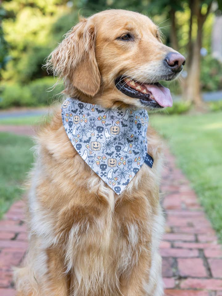 Halloween Dog Bandana for wholesale by Tails Up, Pup