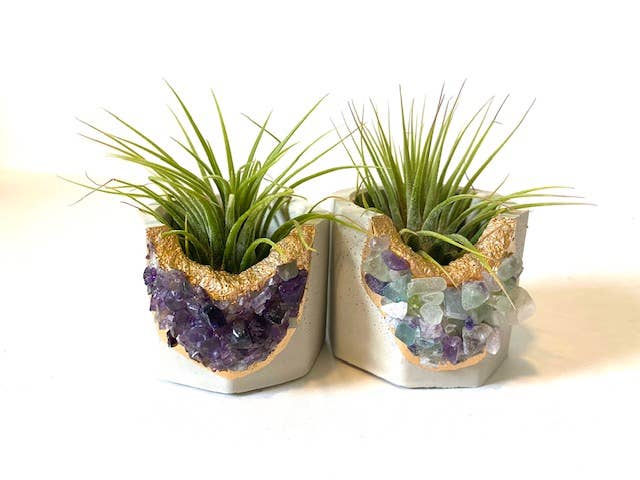 Plant One On Me Designs - Vente Pot - Jardinière en géode de cristal avec plante aérienne - Cristaux mixtes2