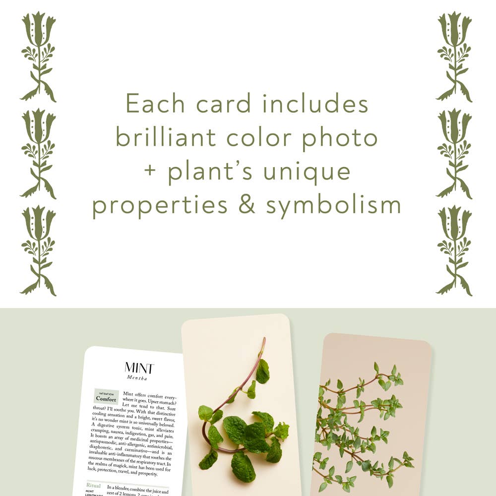 Chronicle Books - Wholesale Tarot Cards - Botanicals Deck9