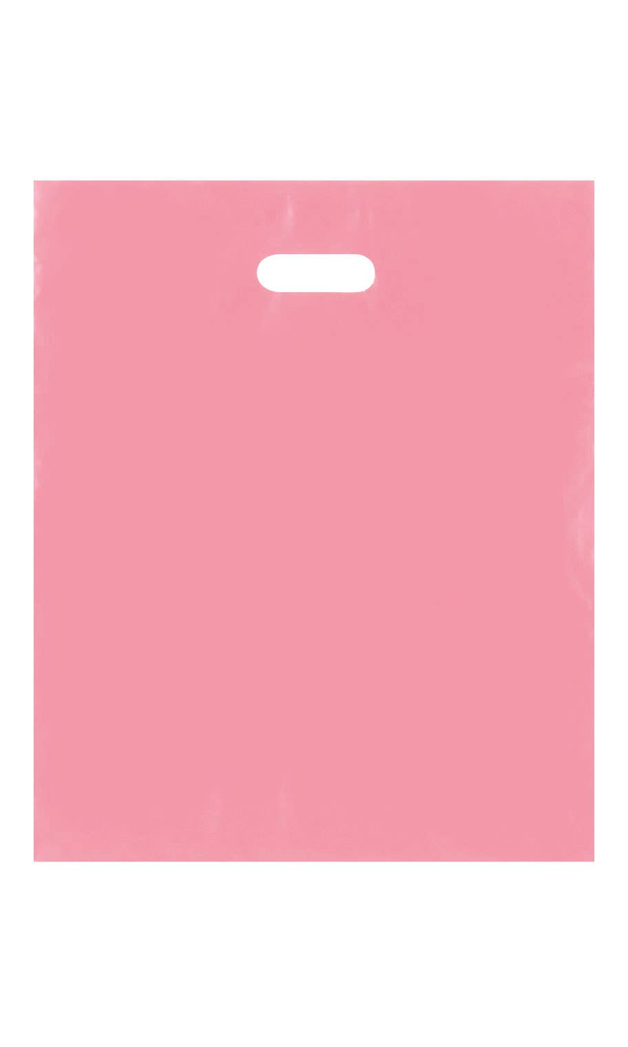 Store Supply Warehouse - Wholesale Gift Bag - Frosted Retail Merchandise Bags2