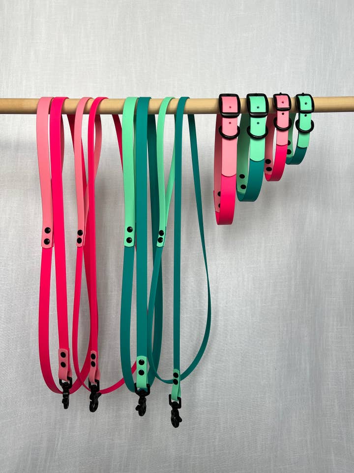 The Vibrant Collection - Leashes for wholesale by Moss Dog Collars