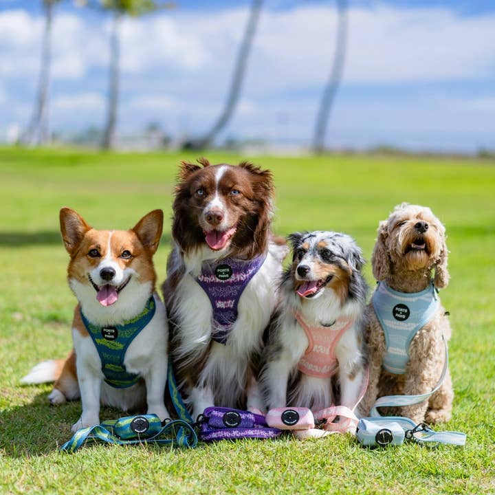 Ports and Paws - Wholesale Pet Poop Bag Dispenser - POOP BAG HOLDER - ORCHID