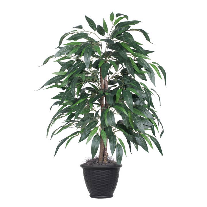 Vickerman 4' Mango Bush In Gray Plastic Pot for wholesale by Vickerman