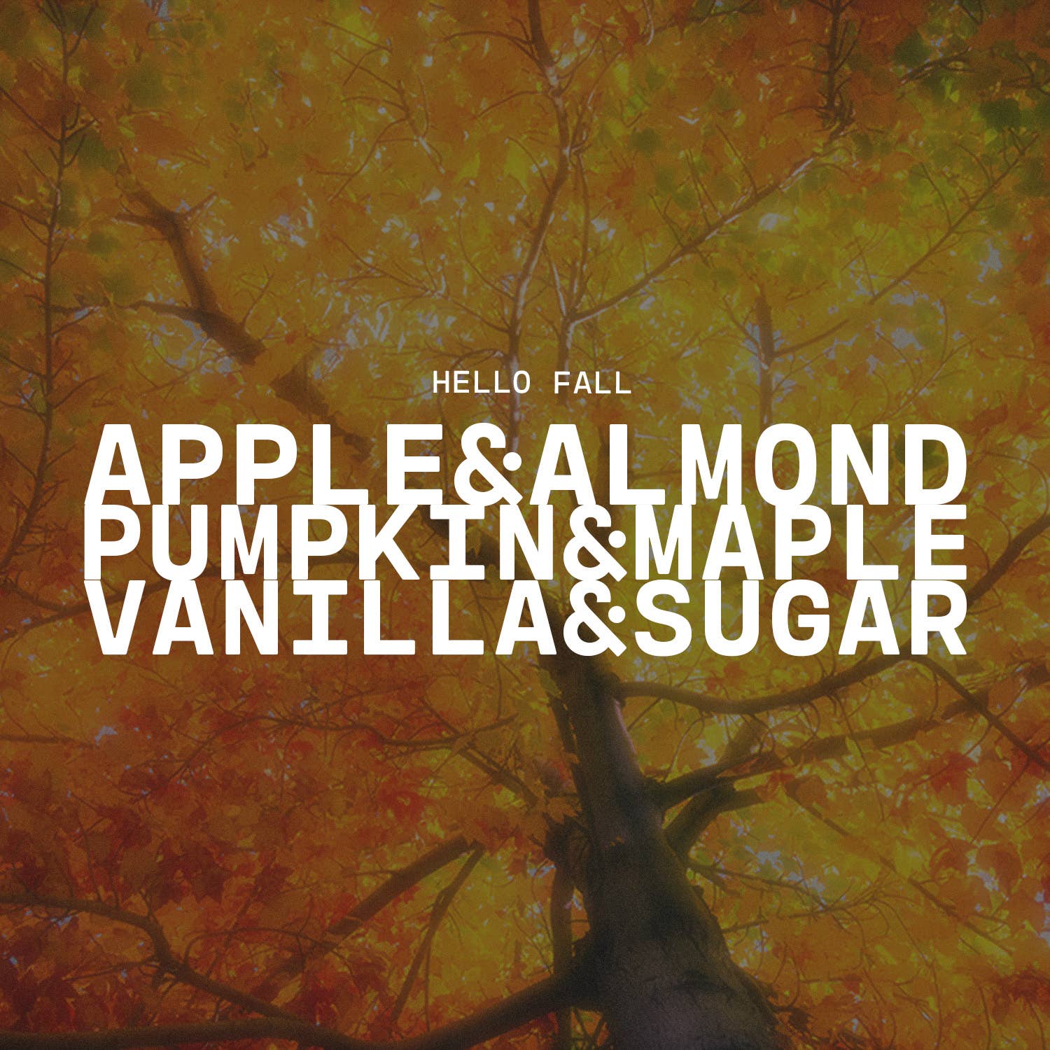 Milkhouse Candle Company - Wholesale Jar/Filled Candle - 13 oz Mason Jar Fall Candle: Hello Fall2