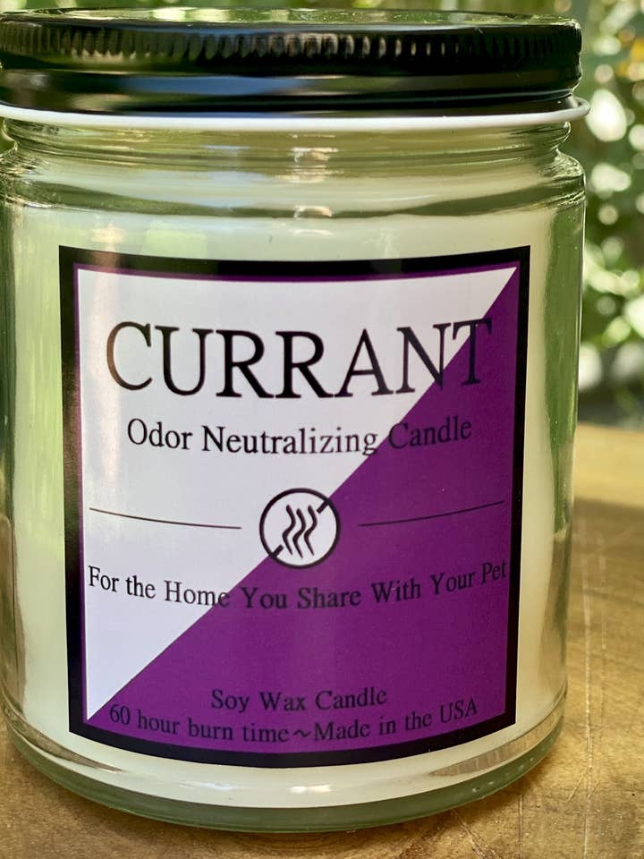 8 oz Odor Neutralizing Candle- Currant for wholesale by Candle Consultants