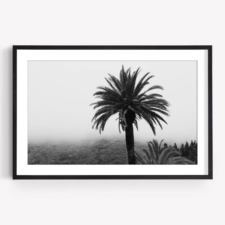 Dimmig Palm Svart och Vit för wholesale av Annie Ambience