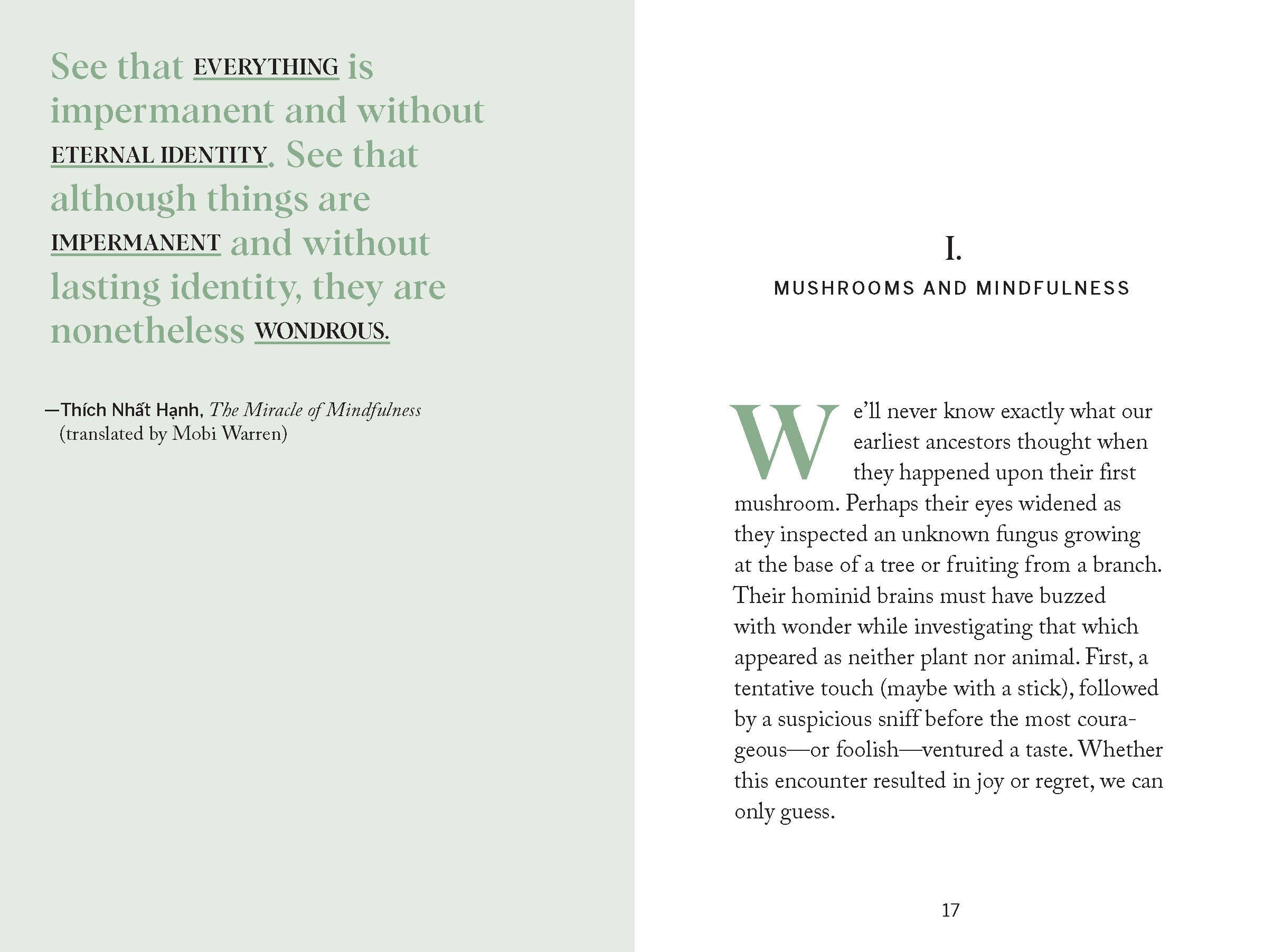 Chronicle Books - Wholesale Nature & Outdoors - Pocket Nature: Mushroom Hunting6