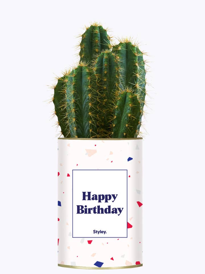 Gelukkige Verjaardag - Cactus voor wholesale door Styley