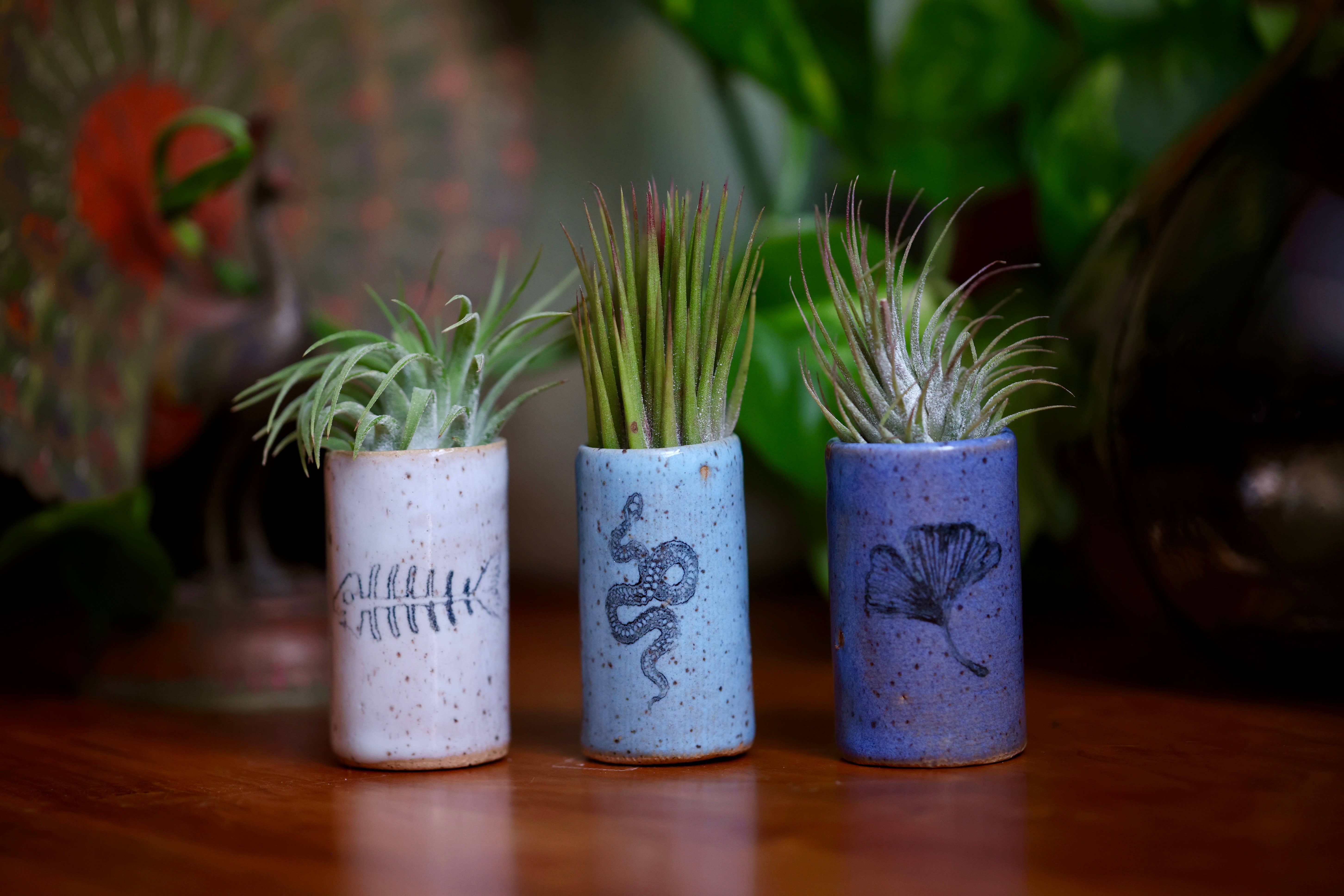 Mix Pack of Glazes Tiny Tumblers - Snake for wholesale on Faire2