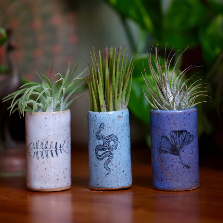 Mix Pack of Glazes Tiny Tumblers - Snake for wholesale on Faire2